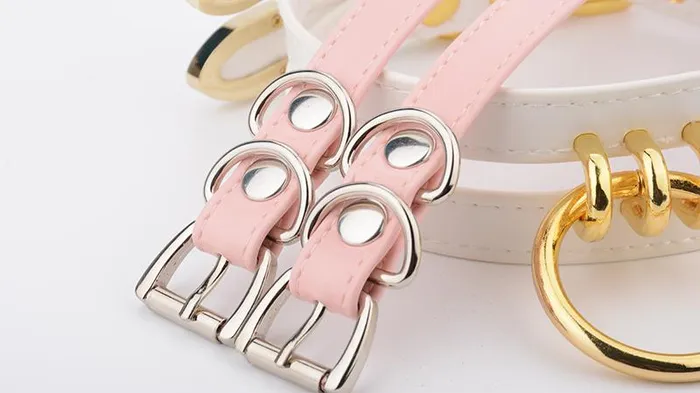 House of Dasein Anal Collars Leashes Double Caged Slave Collar Gothic Silver Gold Metal Choker
